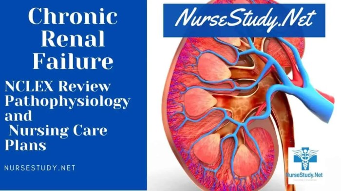 Chronic renal failure hesi case study