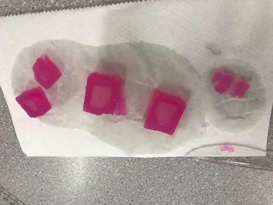 Diffusion in agar cubes lab answer key