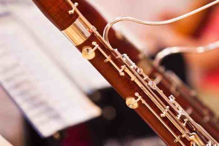 Clarinet bassoon etc in an orchestra