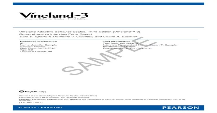 Vineland 3 comprehensive interview form