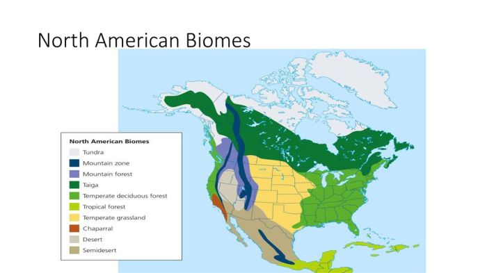 Biomes of north america answer key