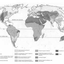 Biomes of north america answer key