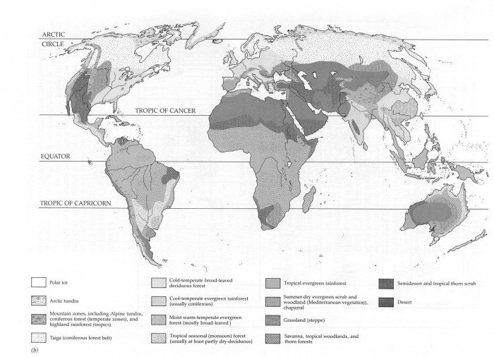 Biomes of north america answer key