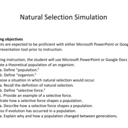 Natural selection simulation at phet answers