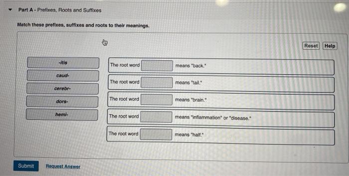 Match these prefixes suffixes and roots to their meanings