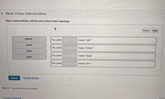 Prefixes suffixes roots definitions solved transcribed