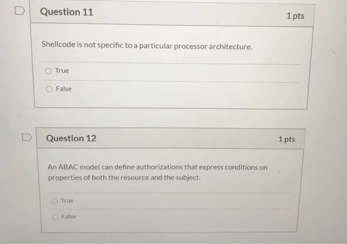 Shellcode is not specific to a particular processor architecture.