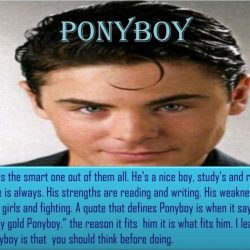 Ponyboy looks at a yearbook picture and thinks about